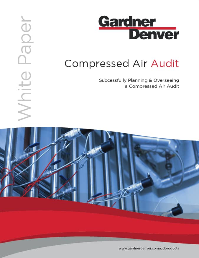 Learn more about Compressed Air Audits data with our Whitepaper