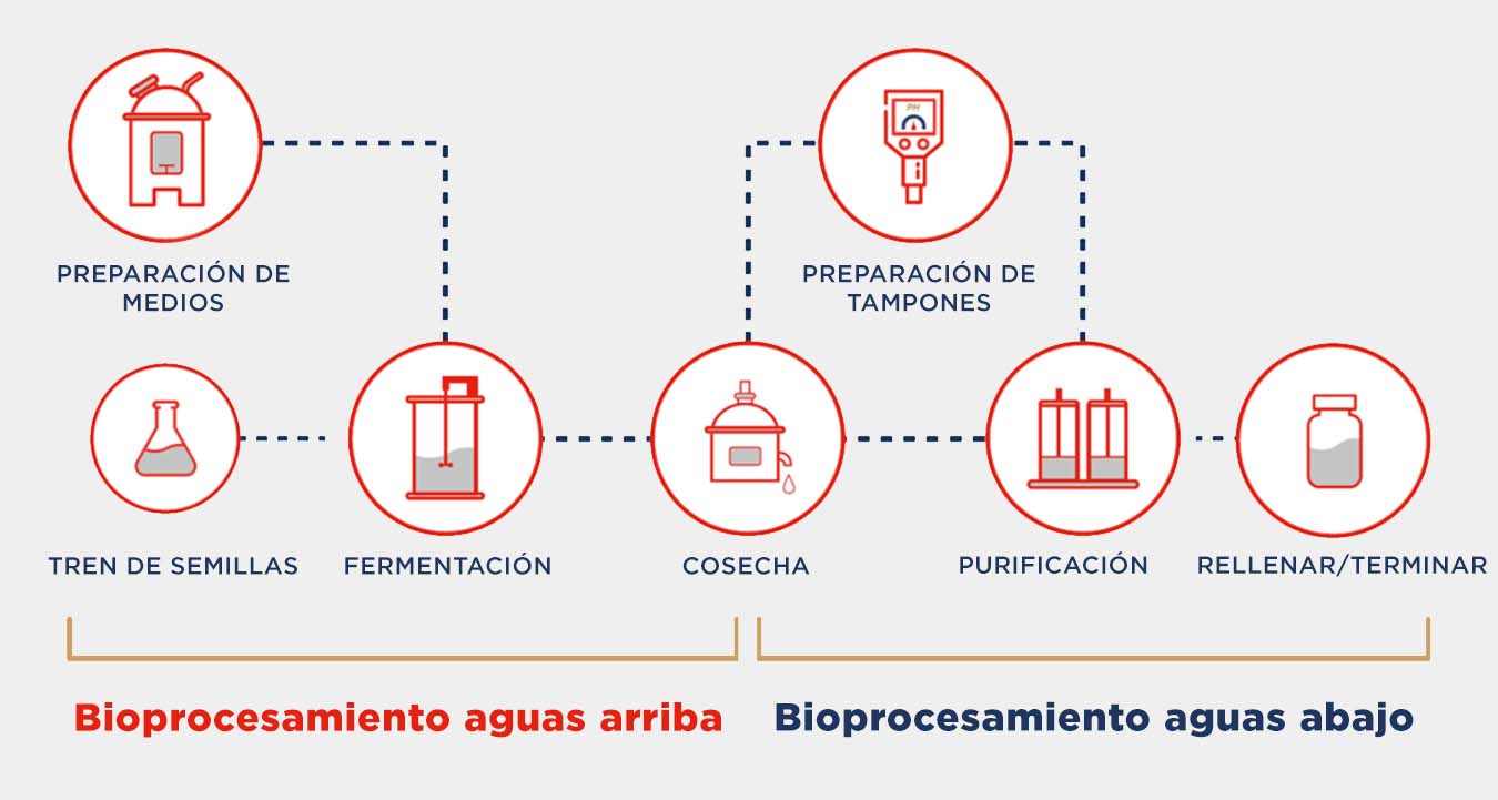 bio-pharmaceutical_upstream-and-downstream-es