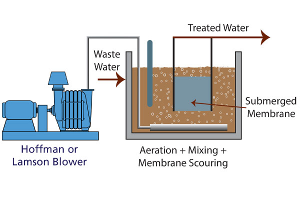 Bachwashing For Membrane Filtration