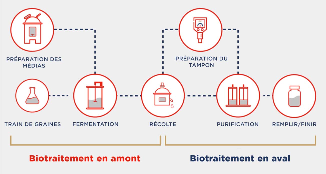 bio-pharmaceutical_upstream-and-downstream-fr