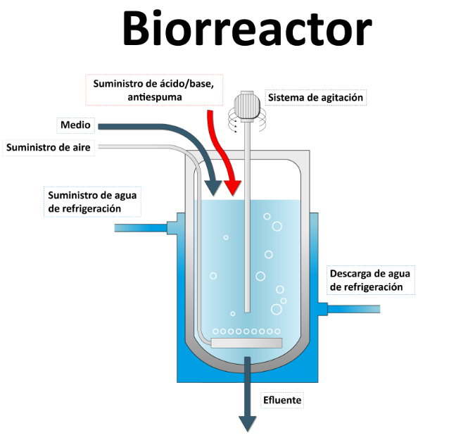Biorreactor